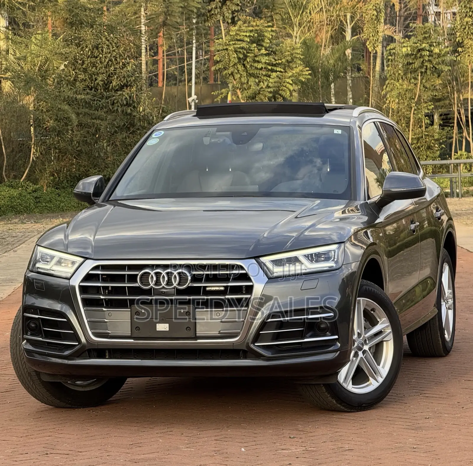 Audi Q5 2.0T Premium AWD quattro 2019 Gray