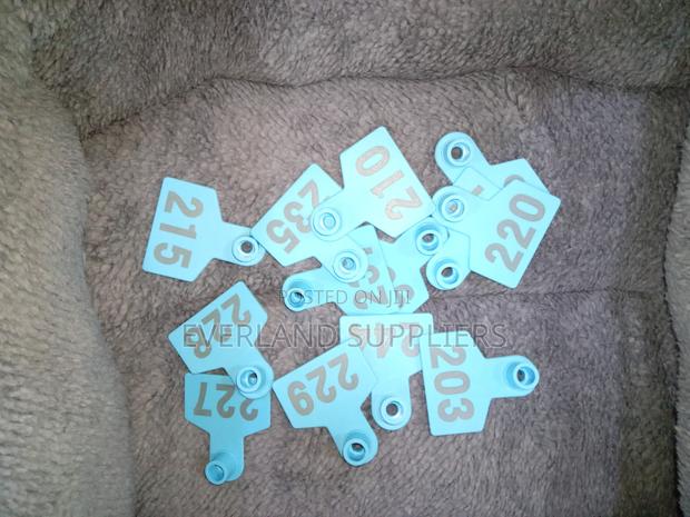 Ear Tags - Animal ID