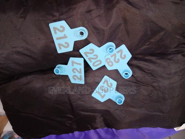 Ear Tags - Bright
