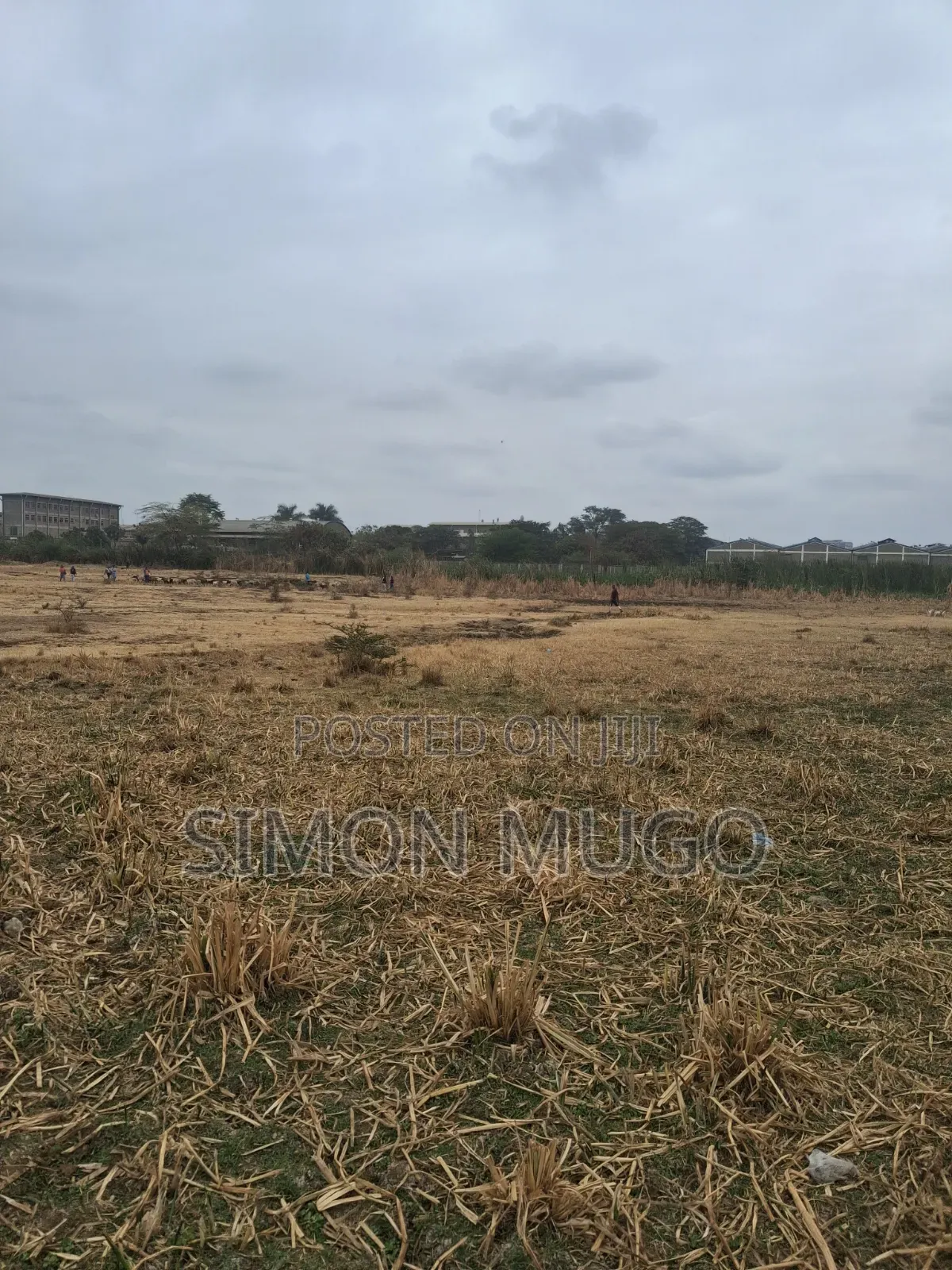 Ruiru Clay Works Industrial 5 Acres