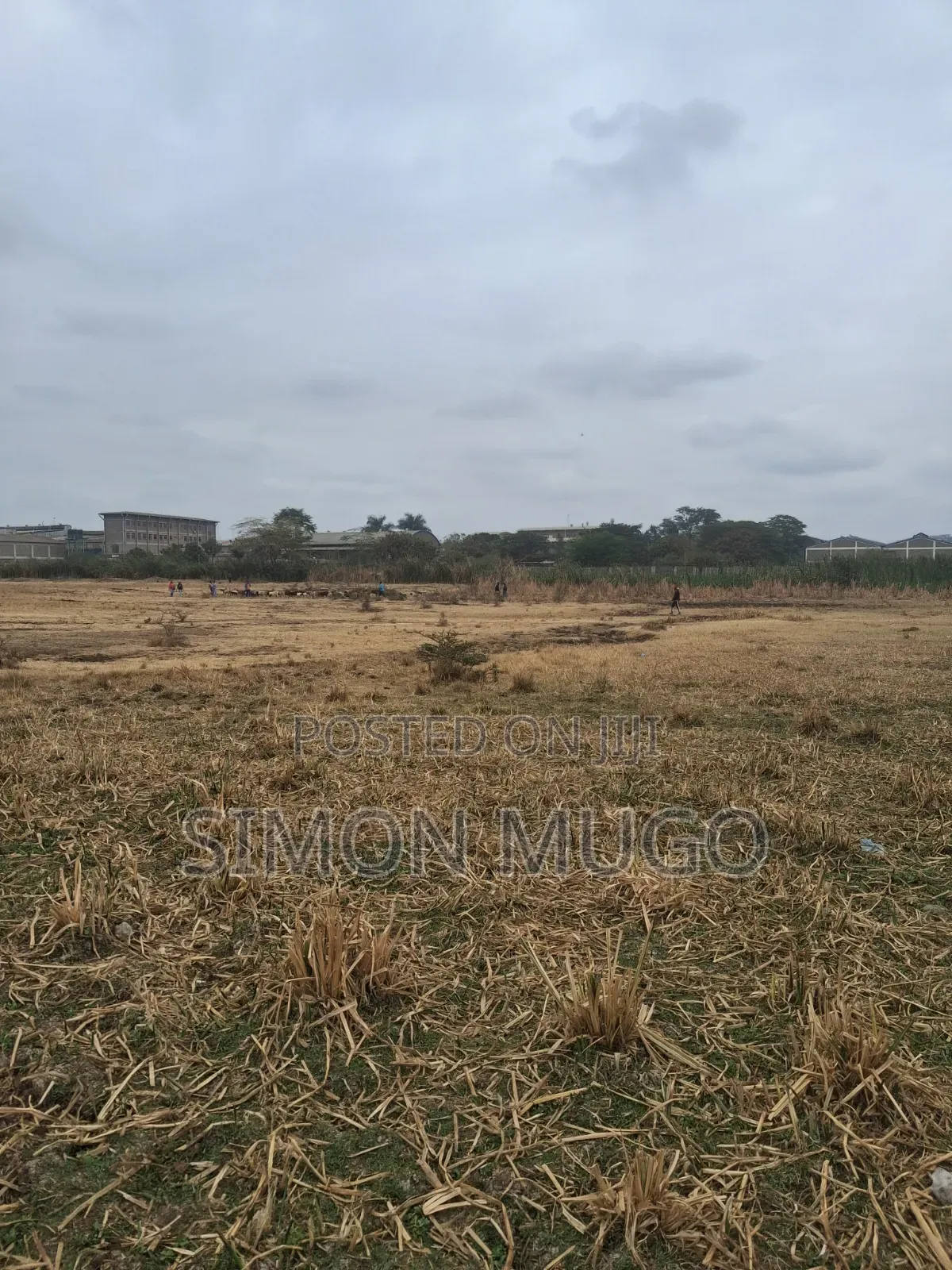 Ruiru Clay Works Industrial 5 Acres