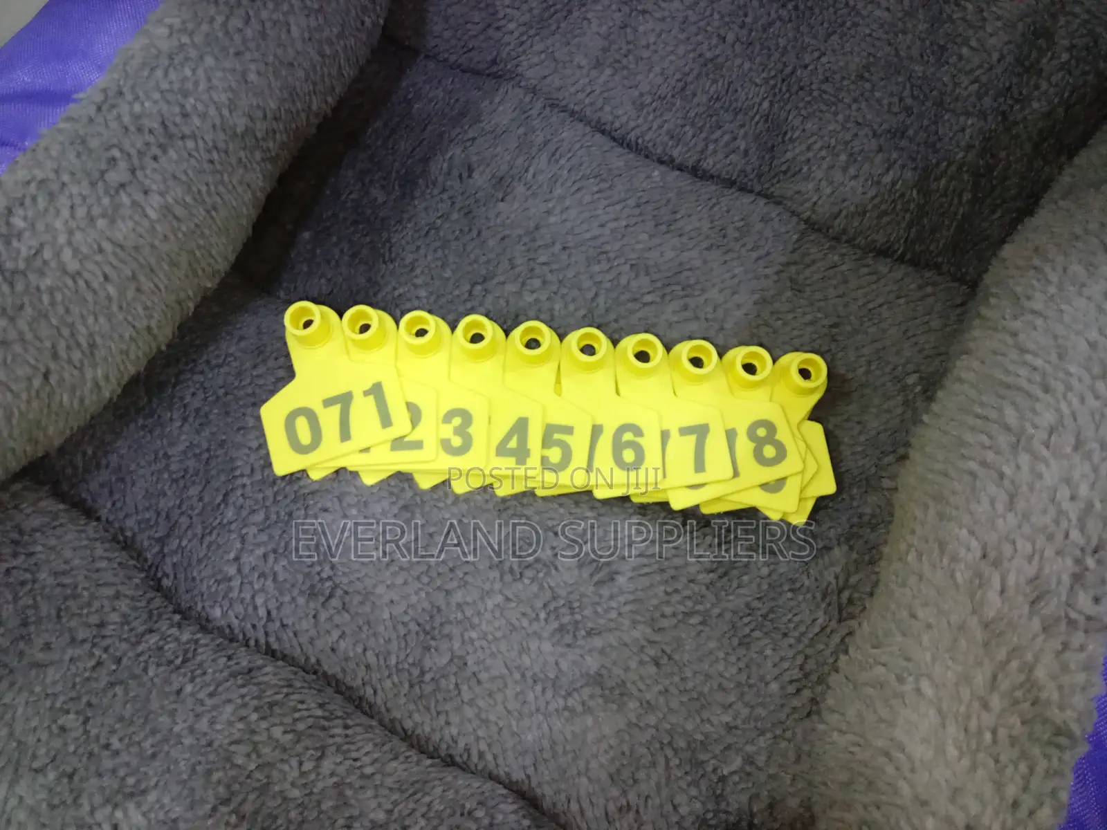 Ear Tags - Ready for Numbering