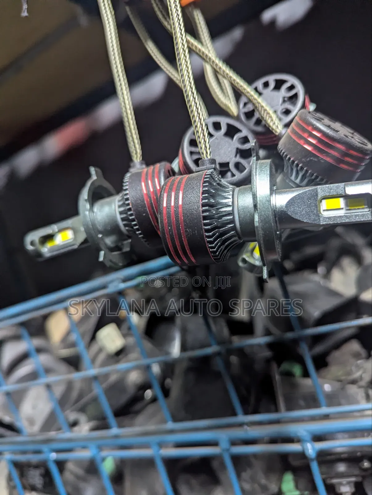 Headlight LED Bulbs (Universal)