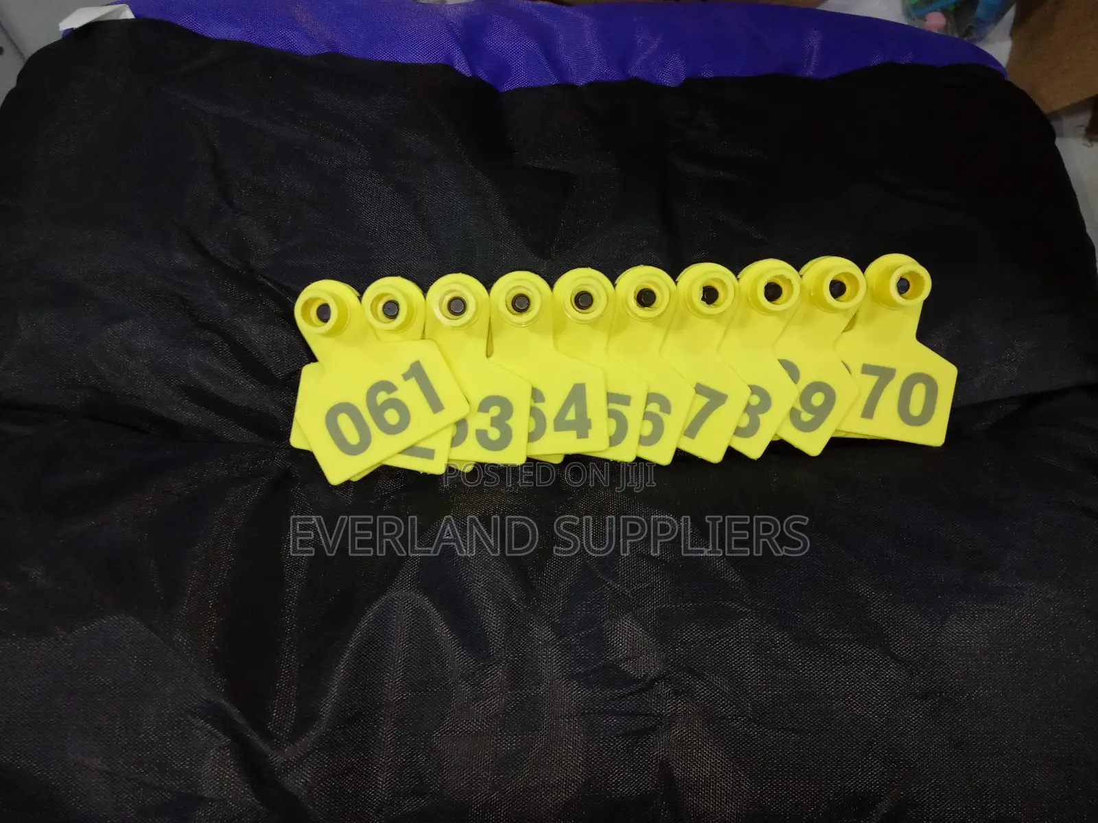 Ear Tags - Easy Visual Recognition