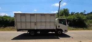 Isuzu ELF Truck 2020 White
