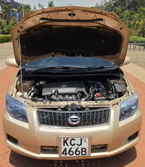 Toyota Axio 2010 Gold