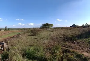 1/8 Tuala Residential Plot
