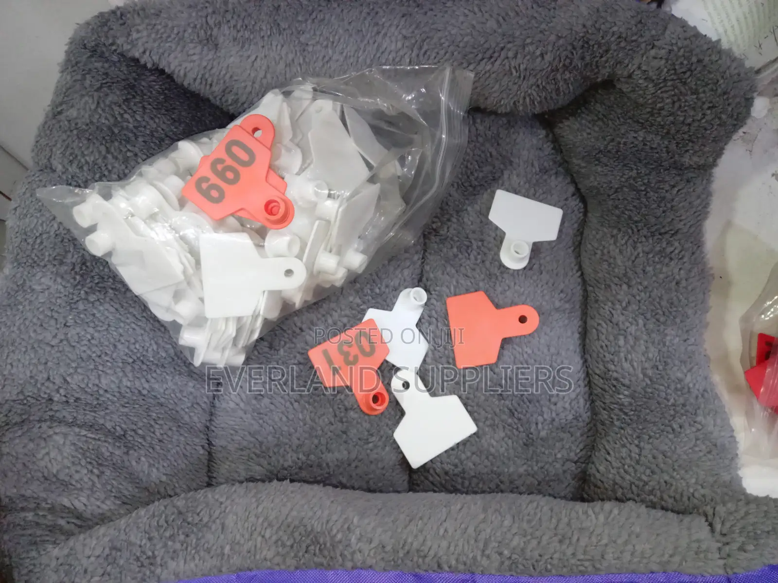 Ear Tags - Outdoor-Friendly Design