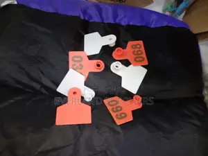Ear Tags - Simple Functional