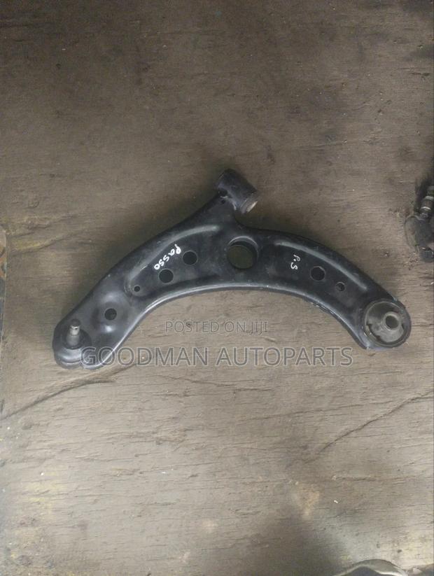 Passo Control Arm