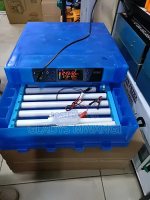 64 Eggs Incubator