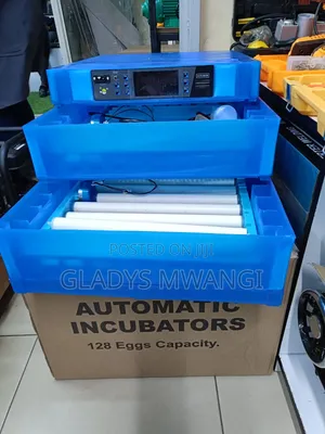 128 Eggs Incubator