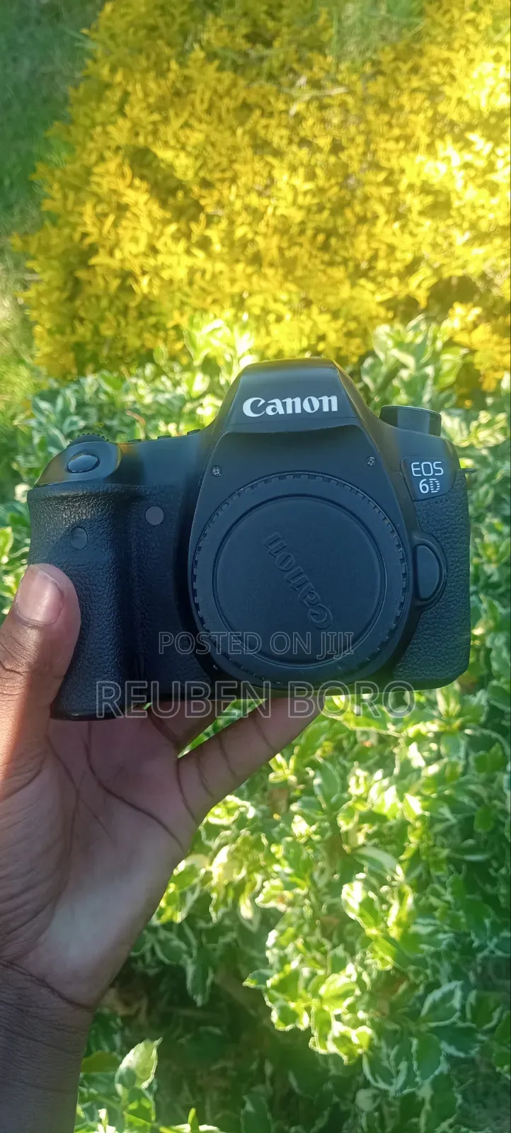 Canon 6D Body