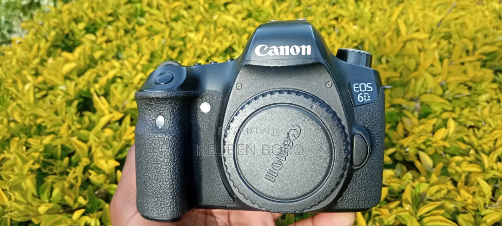 Canon 6D Body