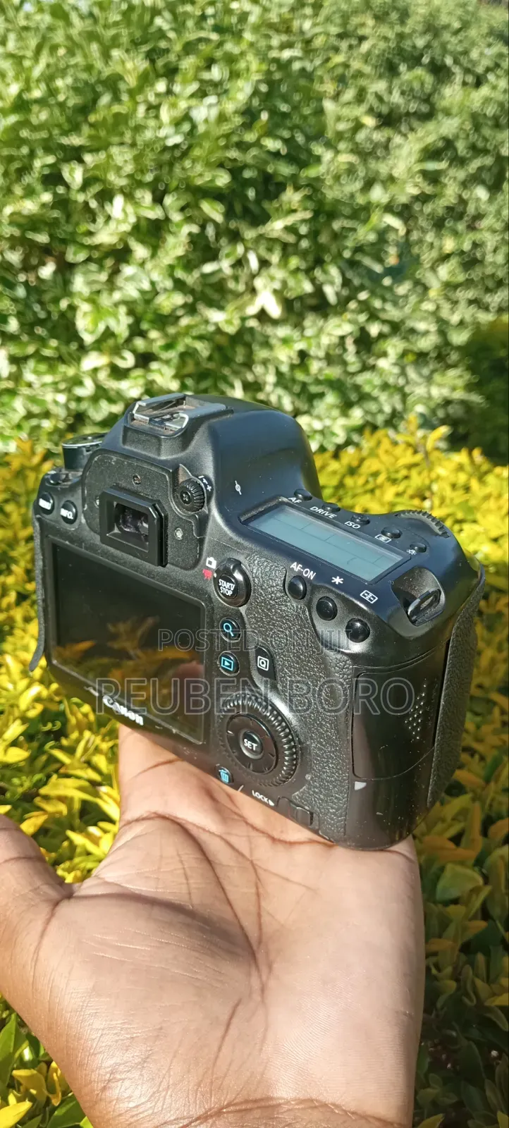 Canon 6D Body