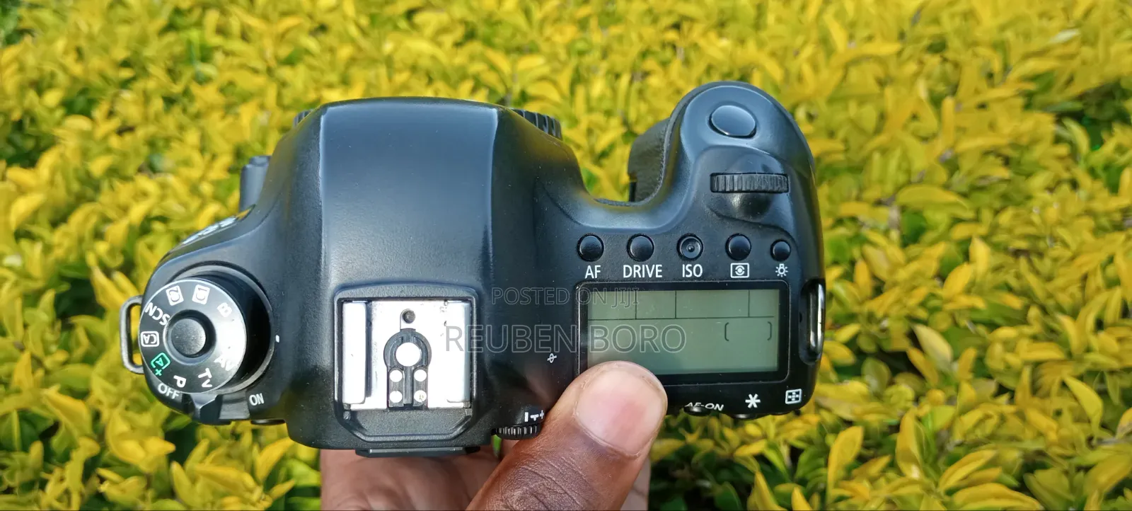 Canon 6D Body