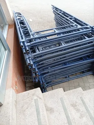 Industrial Scaffolding Ladder