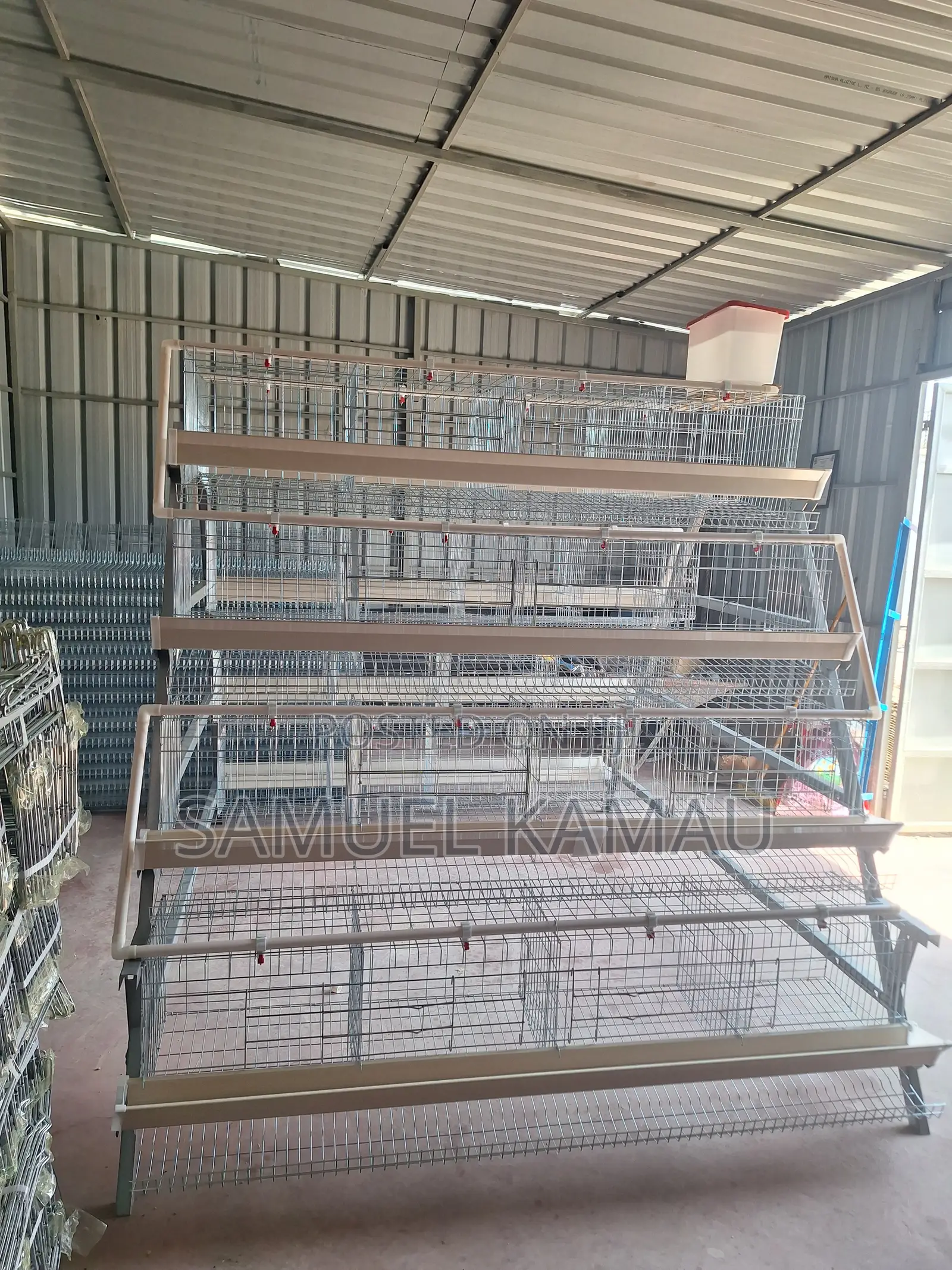 Chicken Cages