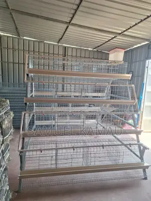 Chicken Cages