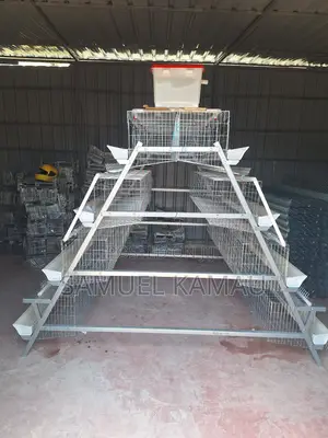 Chicken Cages