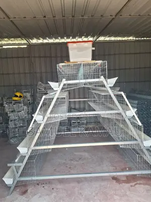 Chicken Cages