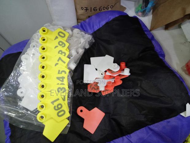 Ear Tags - Custom Marking Ready