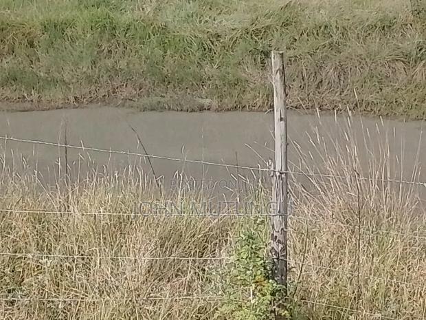 Land for Sale - thumbnail 3