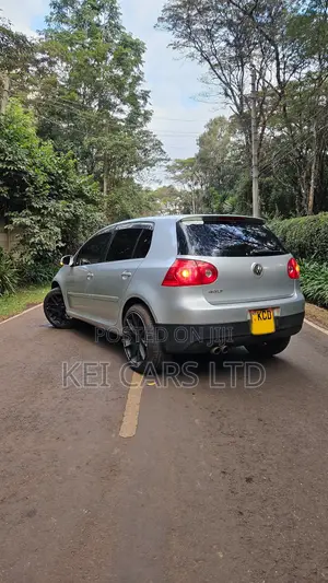 Volkswagen Golf 2008 Silver