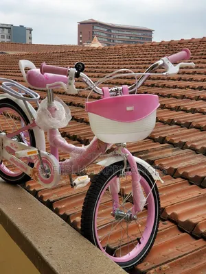 16 Inch Ladybird Bicycle for Girls – Cute Kids’ Bike for Outdoor Fun