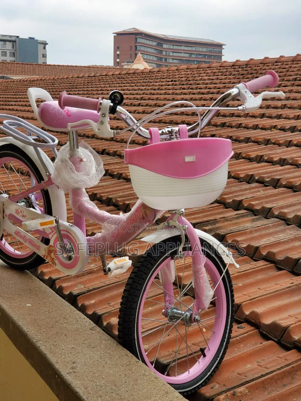 16 Inch Ladybird Bicycle for Girls – Cute Kids’ Bike for Outdoor Fun
