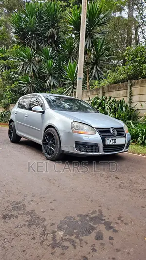 Volkswagen Golf 2008 Silver