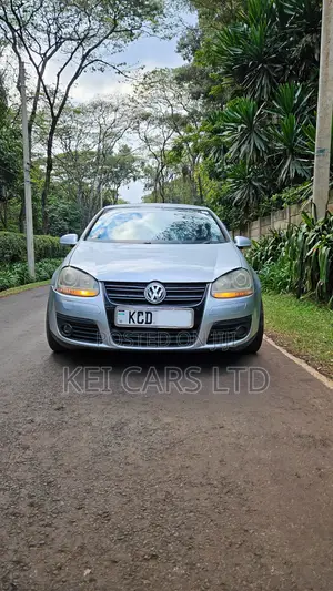 Volkswagen Golf 2008 Silver
