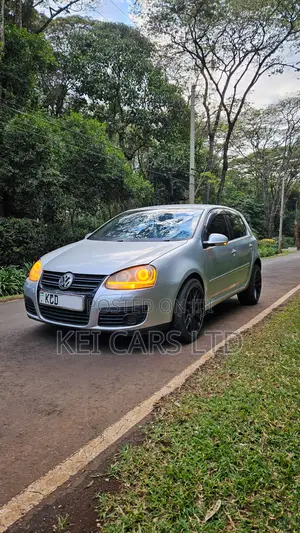 Volkswagen Golf 2008 Silver