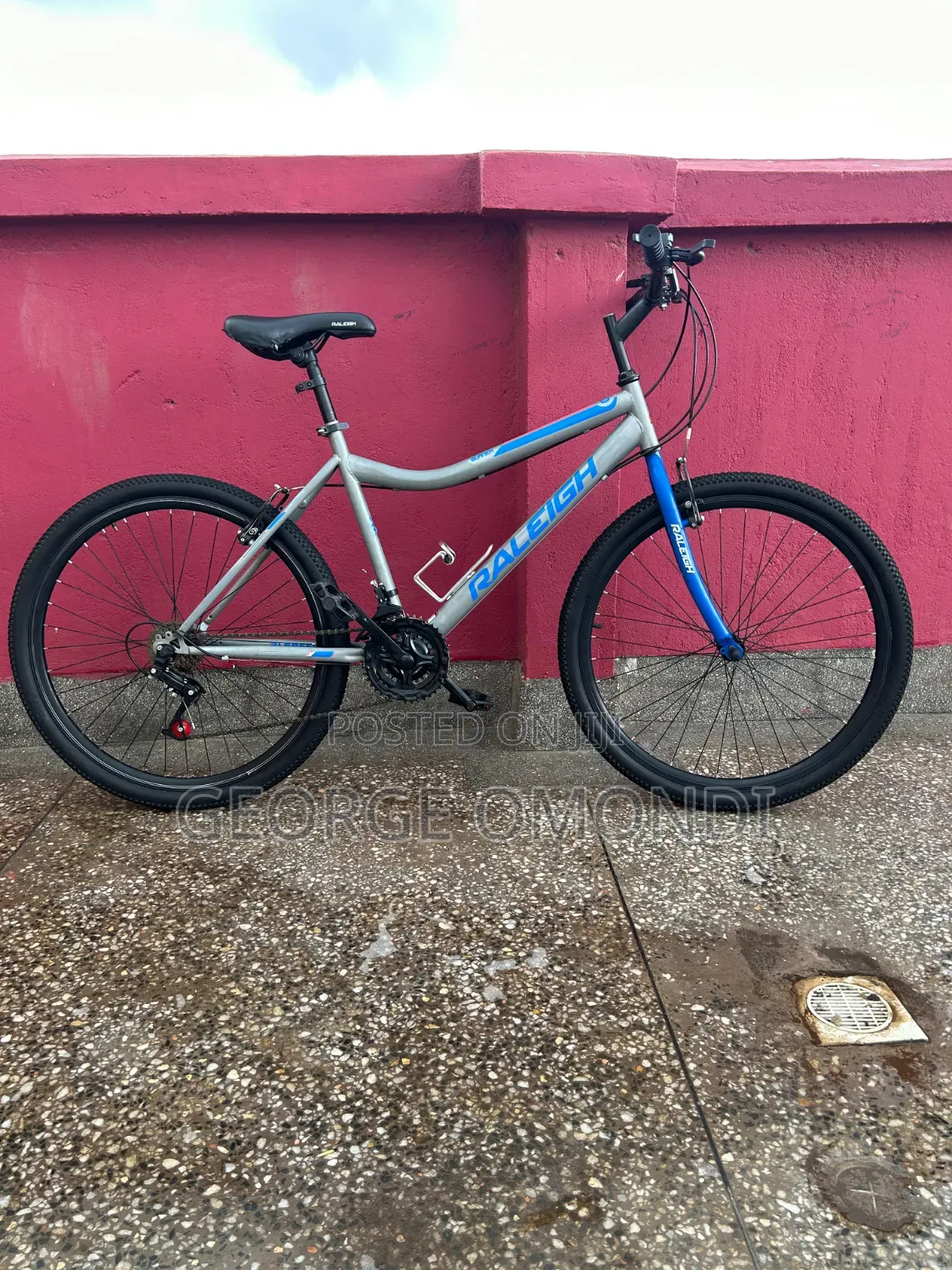 Mountain Bike