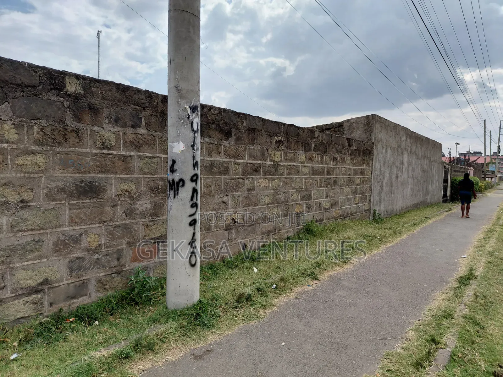 A Large 50*100 Plot Naka