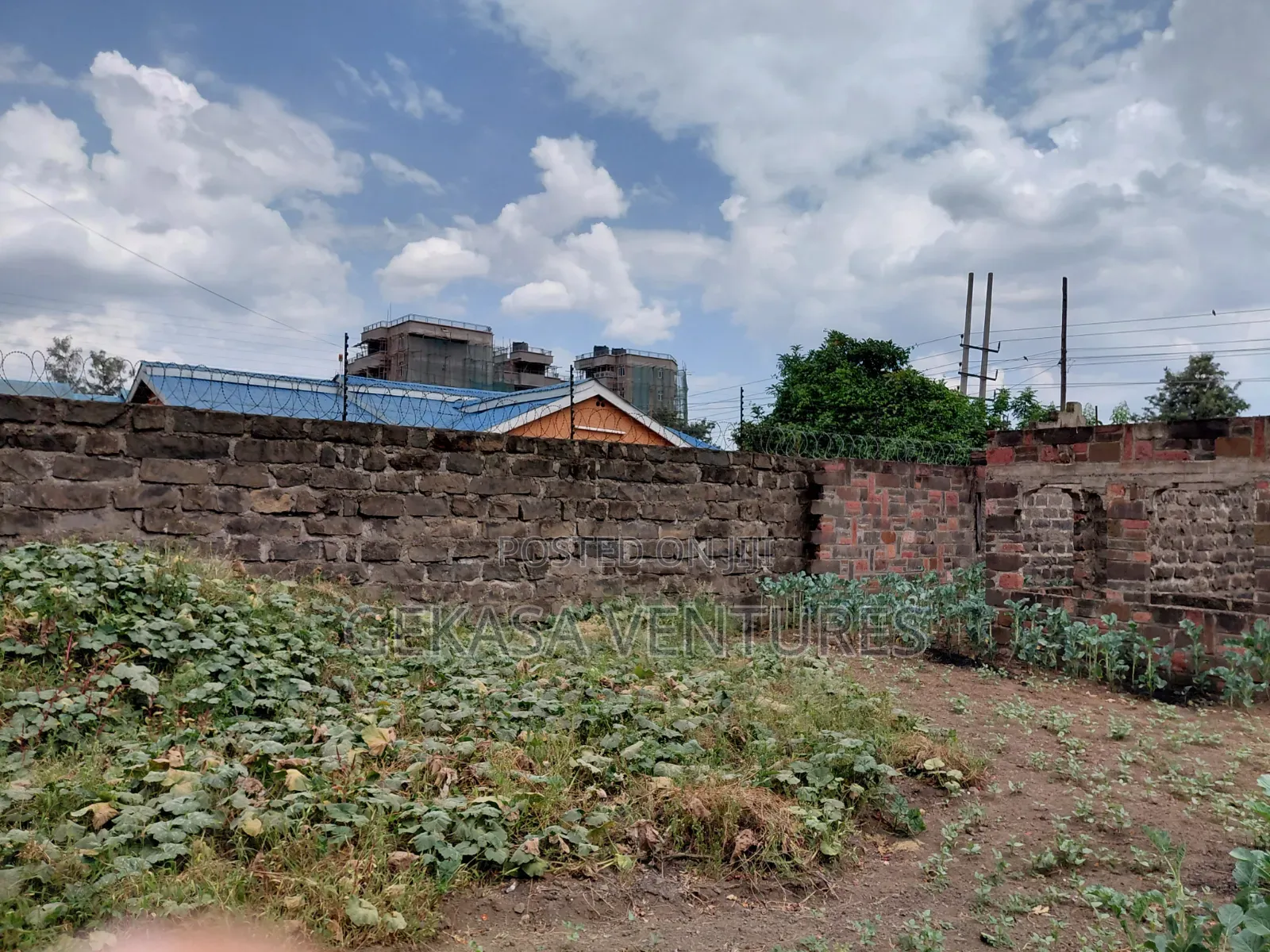 A Large 50*100 Plot Naka