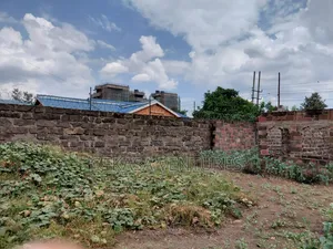 A Large 50*100 Plot Naka
