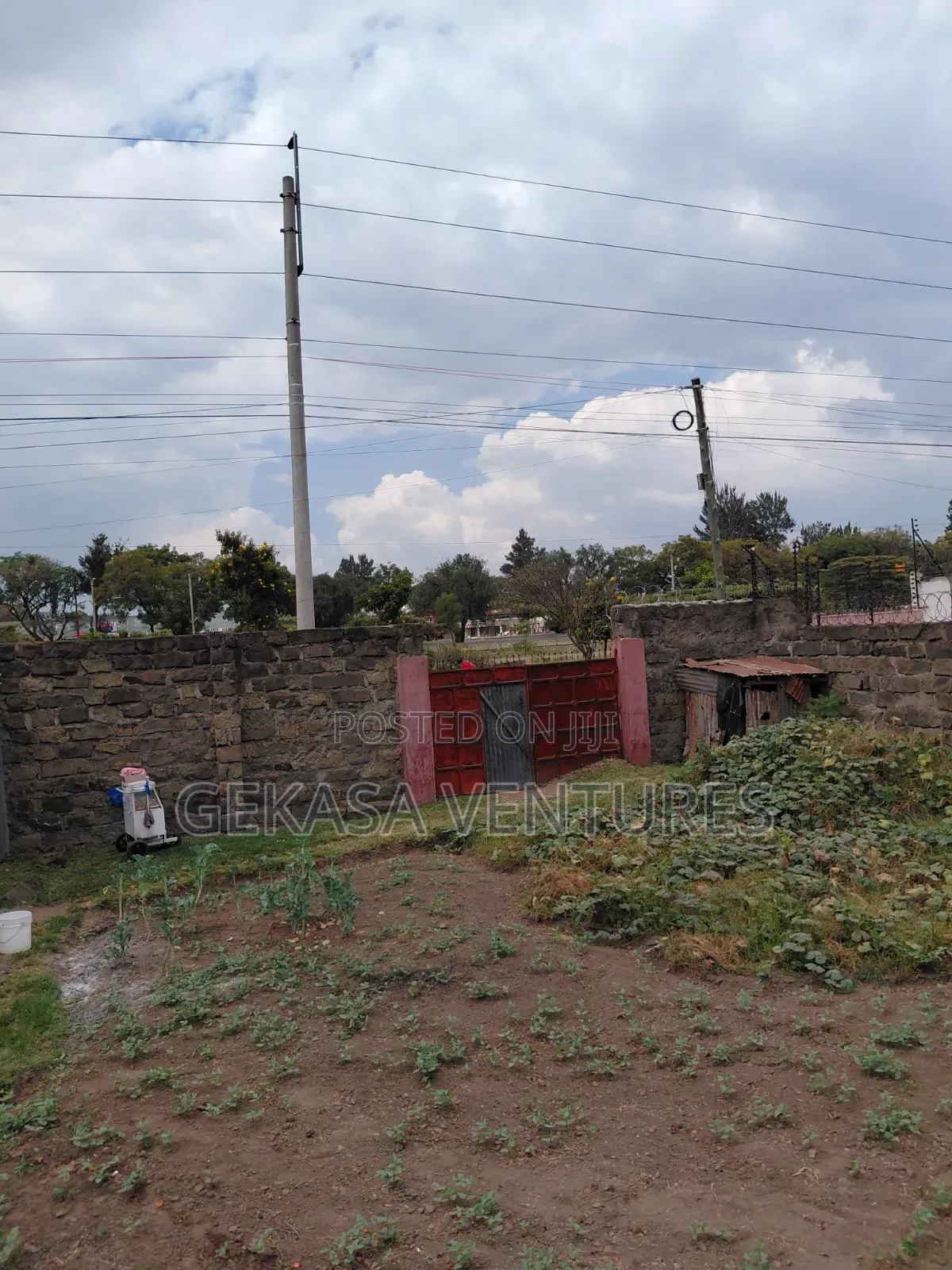 A Large 50*100 Plot Naka
