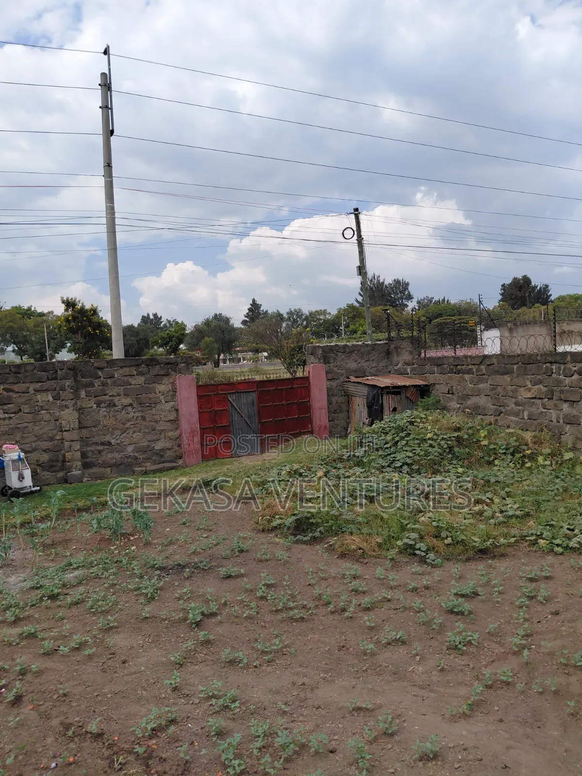 A Large 50*100 Plot Naka