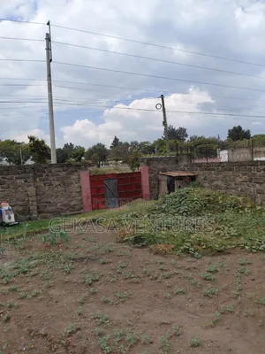 A Large 50*100 Plot Naka