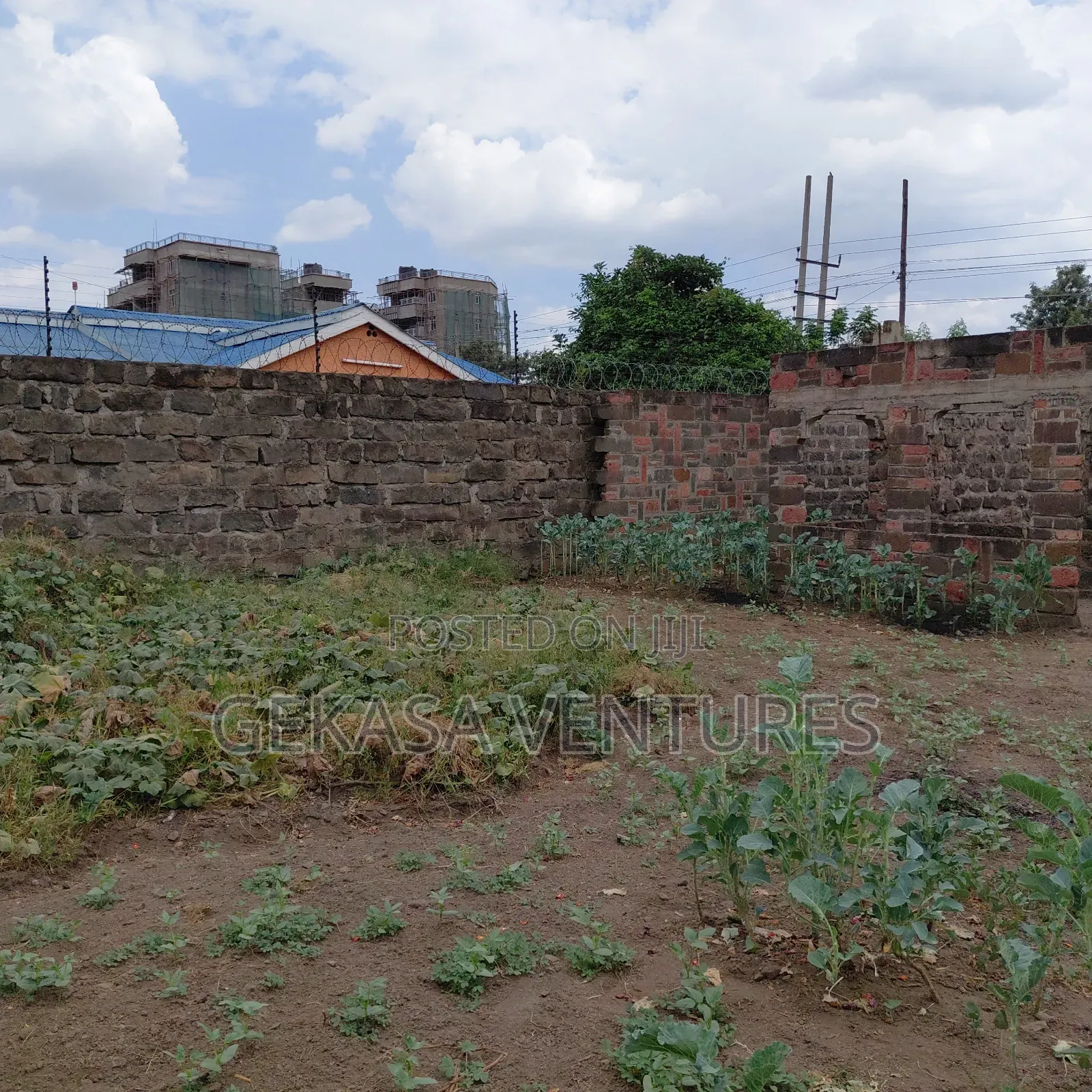 A Large 50*100 Plot Naka