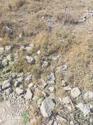 Sabaki Behind Suraya Opposite Tupenda 10 Acres Off Mombasa Rd Titled