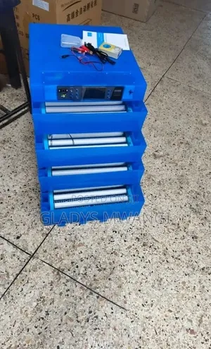 256 Eggs Incubator