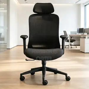 Office Chair: Ergonomic Mesh Desk Chair