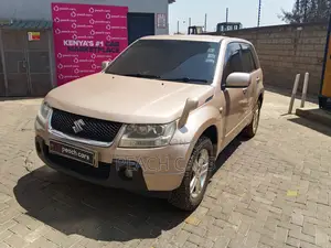 Suzuki Escudo 2007 Gold