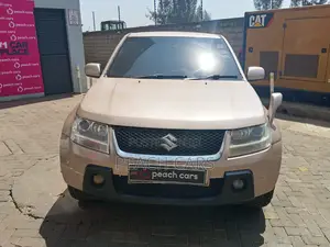 Suzuki Escudo 2007 Gold