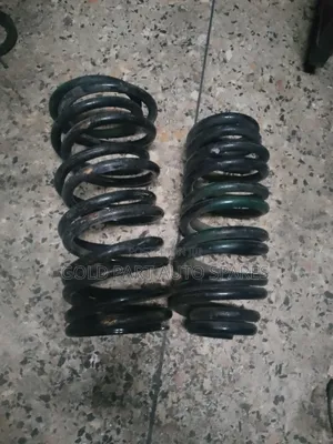 Ex Japan Hevy Deuy Coil Spring for Toyota Noah