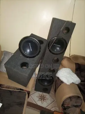 Pioneer Speakers TS-W309D4