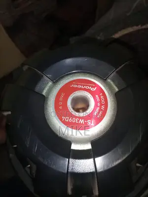 Pioneer Speakers TS-W309D4