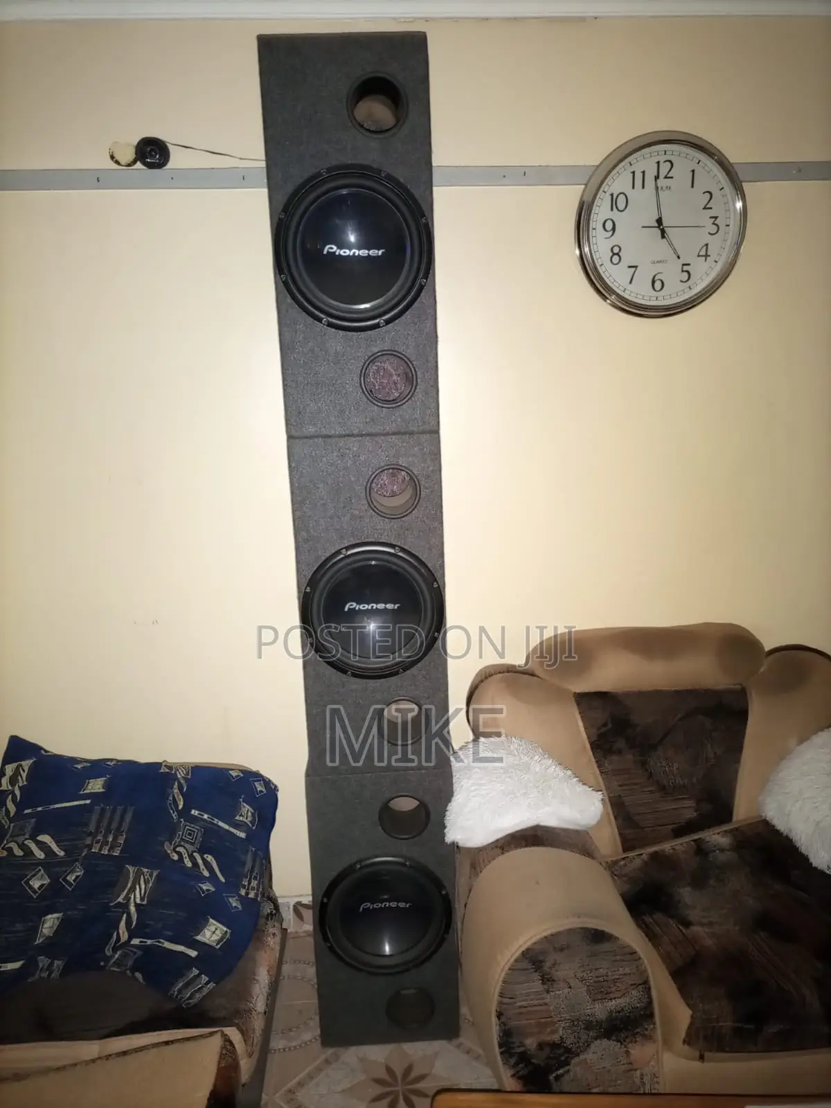 Pioneer Speakers TS-W309D4